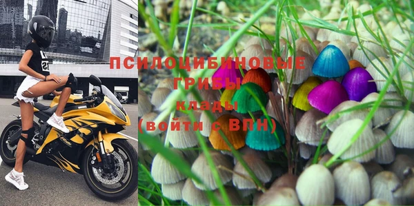 винт Алексеевка