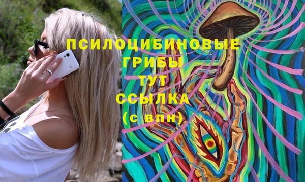 метадон Алексин