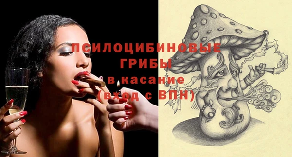 spice Алзамай