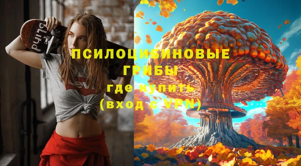 винт Алексеевка